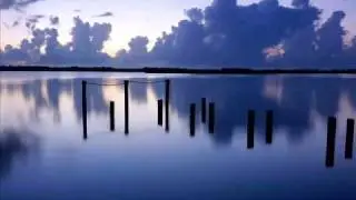Degreezero - The Fly (Delusion Mix)