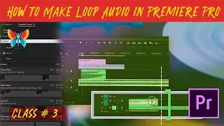 How to Loop Audio in Adobe Premiere Pro | Class # 3