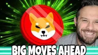 Shiba Inu Coin | Analysts Are Expecting A Big Move In SHIB! Here's Why