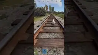 Ты Глянь Какая Цыпа!