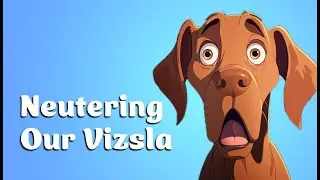 Delayed Dog Neutering