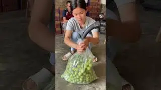Portable vacuum compression tool for fruit preservation- Good tools can increase work efficiency