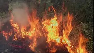 Burning Fire High Resolution Footage 1920*1080 30fps
