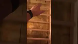 Волшебный Туалет