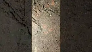 каждый день бы так