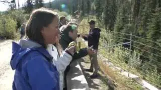 Rtown Banff July Resort Report