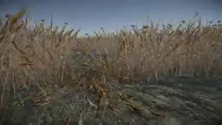 DirectX 11 dynamic vegetation system