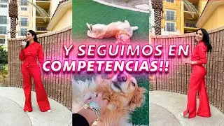 Esta quedando PERRONA!! 🤩 Vean mi OUTFIT como el de SOL LEON 🥰 Y seguimos en COMPETENCIAS!