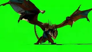 Dragone green screen