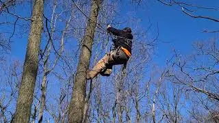 Post season SRT scout climbing tree prep