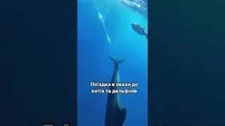 #дівичтур #девичник #travel