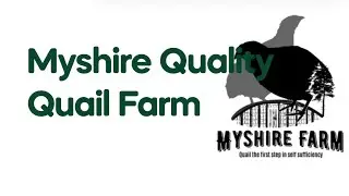 Myshire farm is back!!!!!!!!!