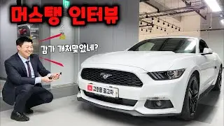 감가 오지게 처맞은 포드 머스탱 중고차 인터뷰 (장단점, 가격)
