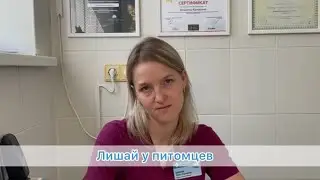 Лишай у животных