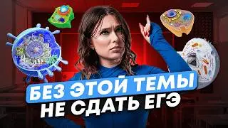 Всё о ХИМИИ КЛЕТКИ за 2 часа! / Химический СОСТАВ клетки к ЕГЭ по биологии 2025!
