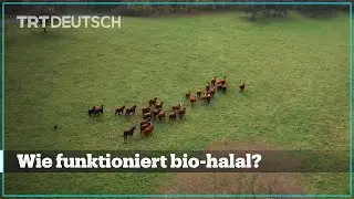 Josef’s Bio - Wie funktioniert bio-halal?