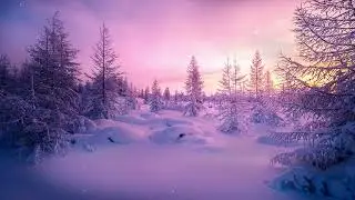 Snowy Christmas Forest Sunset Ambience -- Lofi Beats