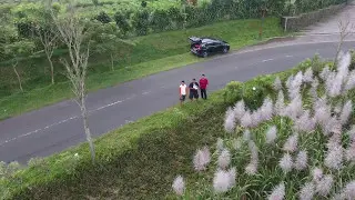 Bukan kebun edelwais, tapi kebun tebu
