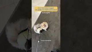 Моя культурная лапочка🫶🏽 