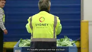 Sydney Markets FoodBank Volunteer Day Thurs 26 October 2023