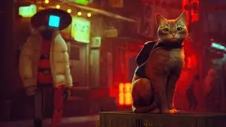 Stray #1 - Мяу посоны
