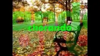 Don McLean - Crying (Tradução)