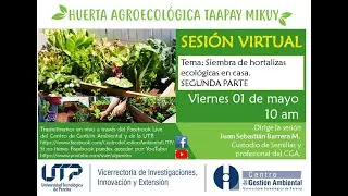 Siembra de hortalizas ecológicas en casa segunda parte.