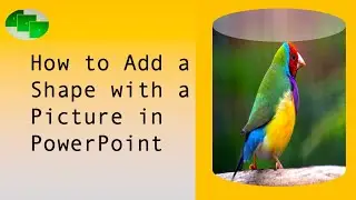 How to Add a Shape with a Picture in PowerPoint
