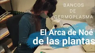 PRIOCONEX: Seed Banks: Noah's Ark of plants (english subtitles)