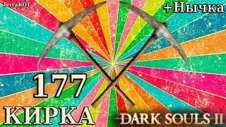 #177