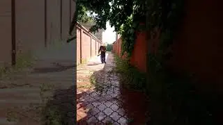 Борьба с растительностью