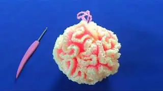 SUPER VOLUMINOUS BALL Sponge! A Beginner's Guide