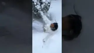 Had to get her with this DURING a SNOW STORM😂😂😂 #funny #fyp #prank #bushmanprank #snow