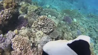 沖縄県本部町水納島2