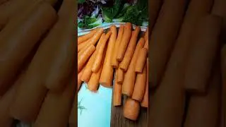 Бесплатные продукты в Германии.