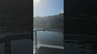 Gator Time (4)