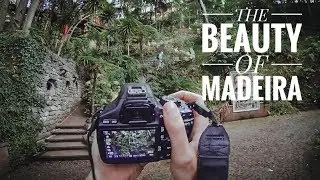 THE BEAUTY OF MADEIRA | POV | 2017