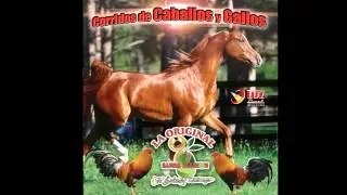 Caballo Prieto Azabache / La Original Banda el Limon de Salvador Lizarraga