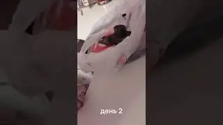 меган-3  Замена ГРМ