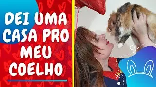 Nova casa do meu coelho Toddy.