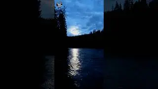 ЗАПОВЕДНАЯ РЕКА #Кузнецкий Алатау  #Сибирь #путешествие #shorts