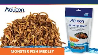 Aqueon Monster Fish Medley Fish Food Video