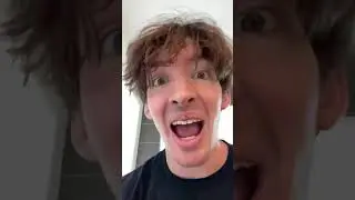 Flamingo Loses It