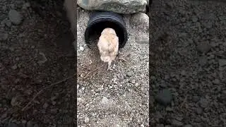 The fqct that i got to do this as a job