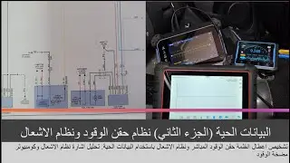 البيانات الحية ( الجزء الثاني )