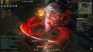 Black Desert Online. Фармим диско (Кальф + Медия)