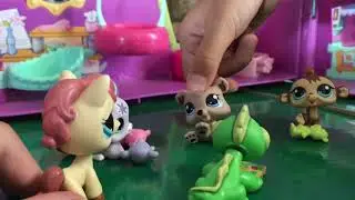 Lps Adoption Center Part 2