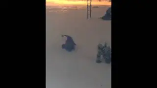 7.02.14)
