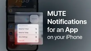 How to Mute notifications for an app on your iPhone