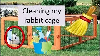 Cleaning my rabbits cage